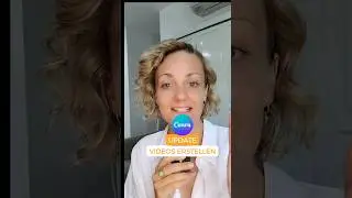 💥Canva-Update: Videos erstellen in Canva 