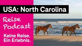 North Carolina | Mit wilden Mustangs und 750 PS vom Strand auf die Straße | Timo Kohlenberg