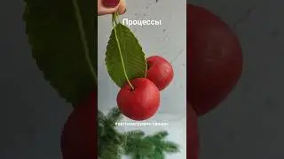 5 июля 2023 г.