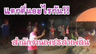 “กิจกรรมแข่งขันไก่อบฟางเพชรลำเพลินฮา5555