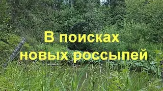 В поисках новых россыпей