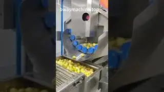 Real Factory Tour for Passion fruit Pulp Processing Line with 98%Extracting Rate,No Break Seeds