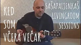 Saša Paljenkaš - Ked som včera večar (LIVE)