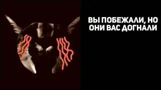 История 