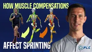 The Most Common Muscle Compensations That Affect Sprinting Speed #sprintmechanics #howtorunfaster