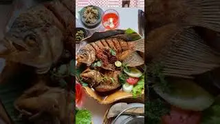 BUMI AKI puncak bogor