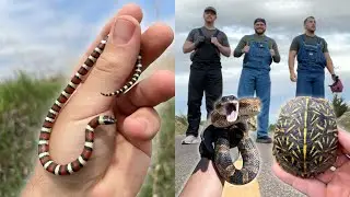 Looking for Every CREATURE in the Midwest | 5 Day Roadtrip to Oklahoma and Kansas