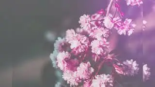 ❤️ Красивое поздравление с Днём Рождения!
