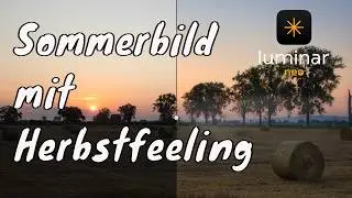 𝗟𝘂𝗺𝗶𝗻𝗮𝗿 𝗡𝗲𝗼 - Hochsommerbild mit Herbst-Touch