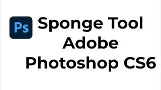 Sponge Tool Adobe Photoshop