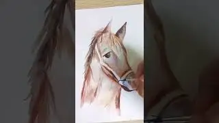 Как нарисовать лошадь🐴