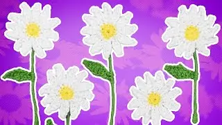 Crochet Daisy | FREE Daisy Crochet Pattern