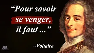 Voltaire : ses plus belles citations