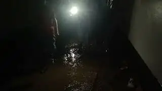 লুটপাট চলছে এমপির বাসায়।