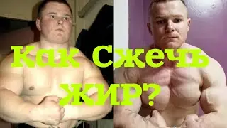 Как УБРАТЬ ЖИВОТ ЛИШНИЙ ВЕС