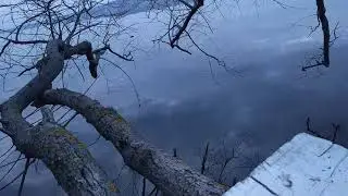 9 марта 2020 г.