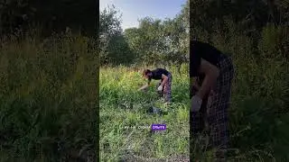23 июля 2024 г.