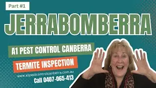 A1 Pest Control Canberra In Jerrabomberra Area Doing Termite Inspection