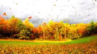 Wind sound effect 1 - gentle breeze