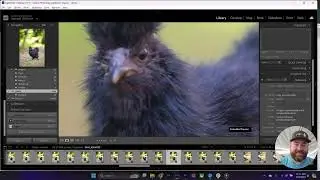 Camera Gear for Chicken Videos