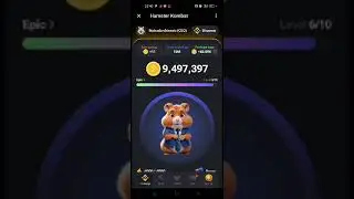 Get 6 m coins Now | Hamster Kombat | Daily Cipher | Daily Combo | 12th June 2024