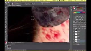 Photoshop timelapse: Good & Evil