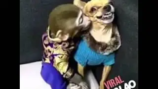 Así somos Algunoss