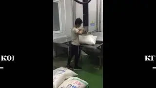 shlangovyj zahvat dlya meshkov polietilenovyh s konsolnym kranom gp do 50 kg