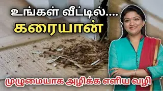 Prevent Termites | How to kill termites | termite treatment | termmite problem and solution tamil