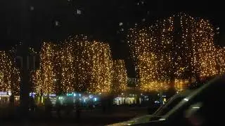 Вечерний парк Галицкого.