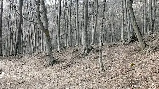 Хорошие весенние поиски. Разнообразные находки.