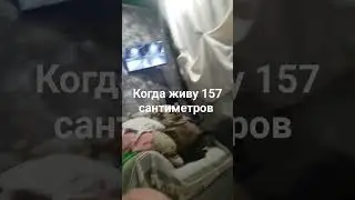 14 декабря 2023 г.