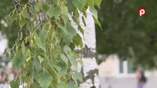 Время новостей 2023.06.29