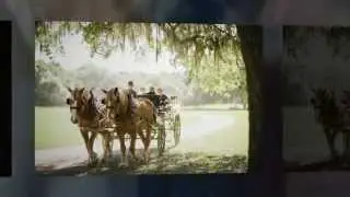 Middleton Place Weddings