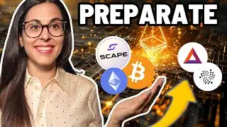 🏆¡Crypto portfolio de CAMPEONES! Análisis 5thScape, Bitcoin y más