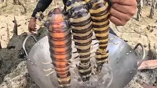 Nilagang Mantis Shrimp sa Tanghalian! 😱