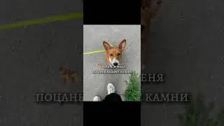 ппц будет, подпишись на мой тгк))