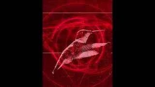 Humming Bird - using After Effects Modulation plugin