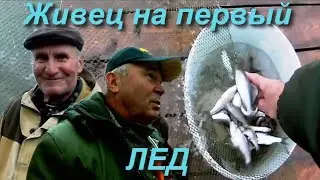Живец на первый лед