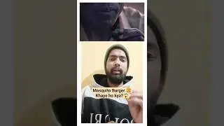 Mosquito Burger 🍔 10 लाख मच्छर वाला बर्गर टिक्की खाए हो क्या ?😋#shorts #ytshorts #viral #facts