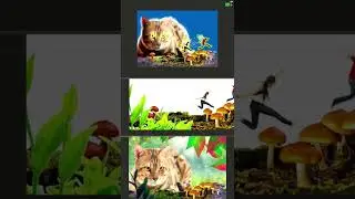 ⚠️BEE+ ALERTS - OMOT - Jika kamu mahukan pelangi, Sangguplah tunggu sampai berhentinya hujan ok