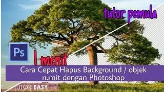 Cara Cepat Hapus Background / objek rumit dengan Photoshop