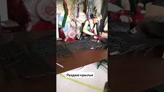 за крыльями сюда https://vk.com/wings_inna #счастье #summer #automobile #лето #love #фото #фотограф
