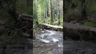 Этот шум ручья словно музыка #рекомендации