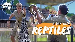Spend the day as a reptile keeper