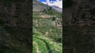 natural beauty 😍 phaker Nagar #viral #shorts #nagarvalley