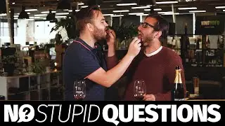 No Stupid Wine Questions: What should I do for Valentine's Day?