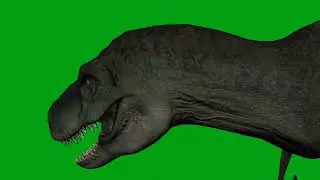dinosaur green screen video