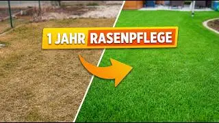 Mit diesen Arbeiten bekommst auch du einen grünen Rasen!