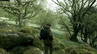 Woodland Landscape Photography #65